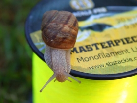 Masterpiece Monofilament Line