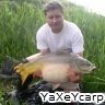 yaxeycarp