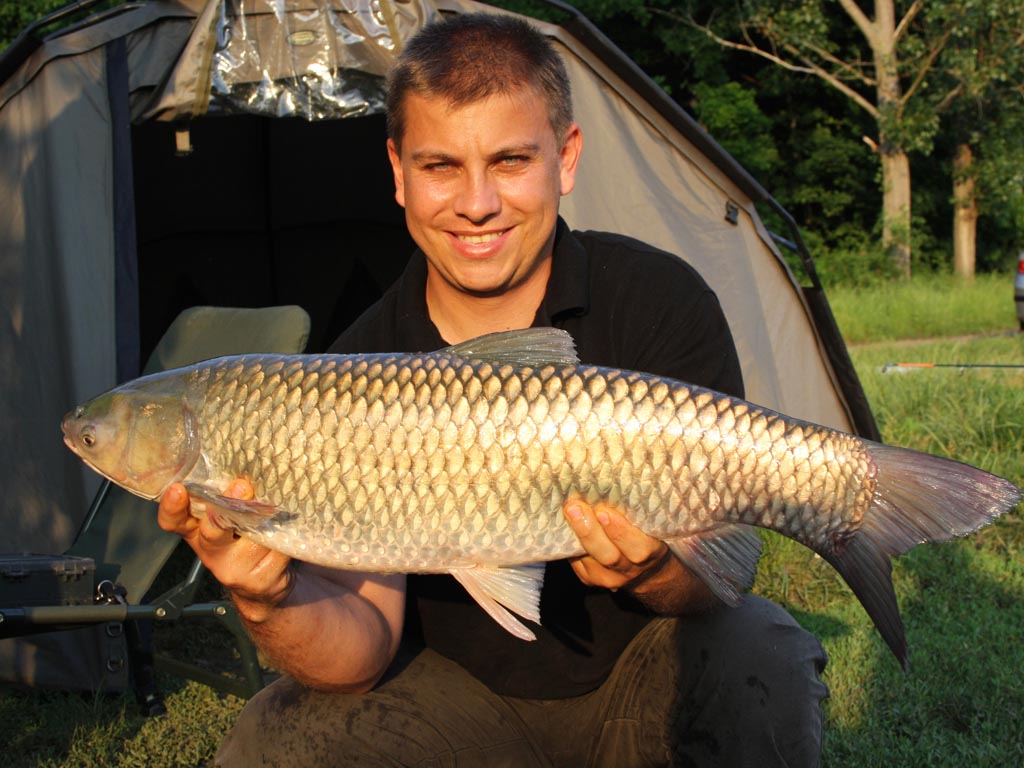 Jeden z amurů chycených na National Carpfishing Championship