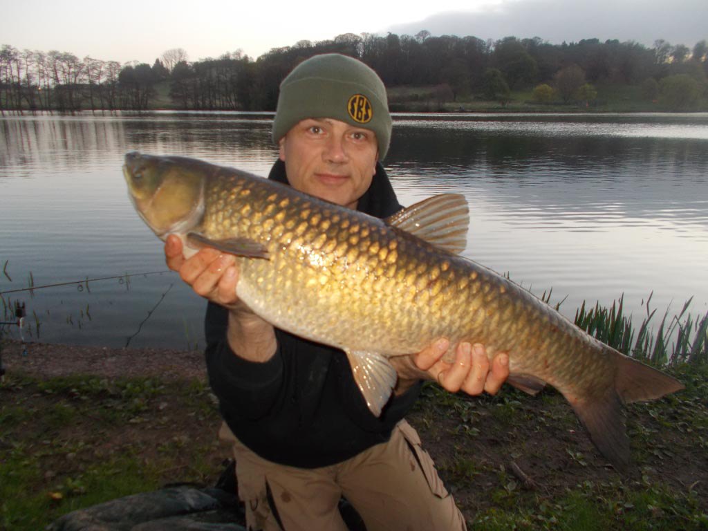 A grassie on the bank