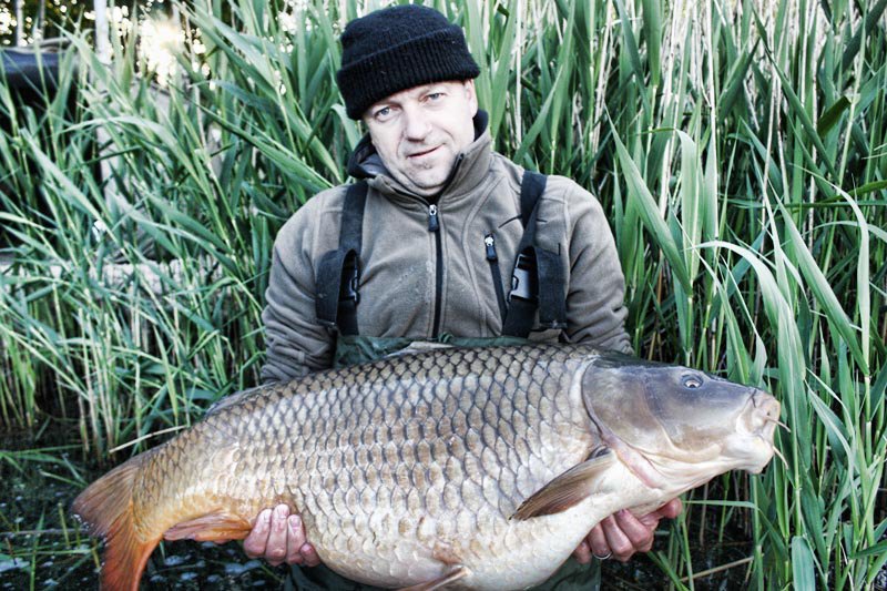 Egy újabb gyönyörű hal került be a fotóalbumunkba! 21,20 kg, szintén az M1-es hóemberrel