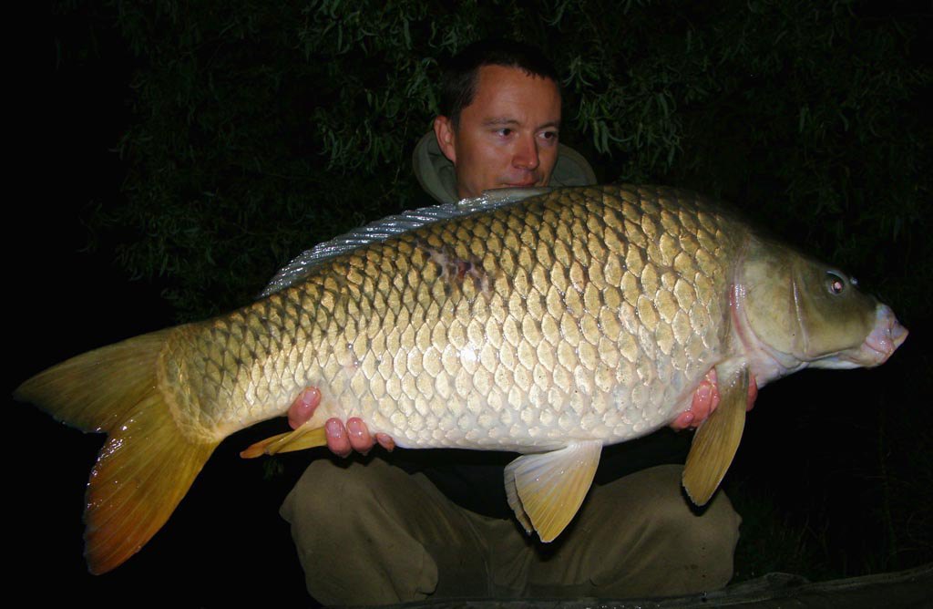 Egy eseménydús éjszaka első vendége (13 kg)