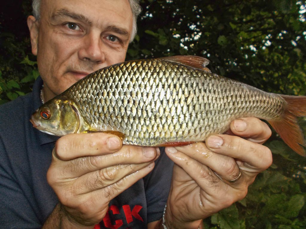 A great roach to pose with