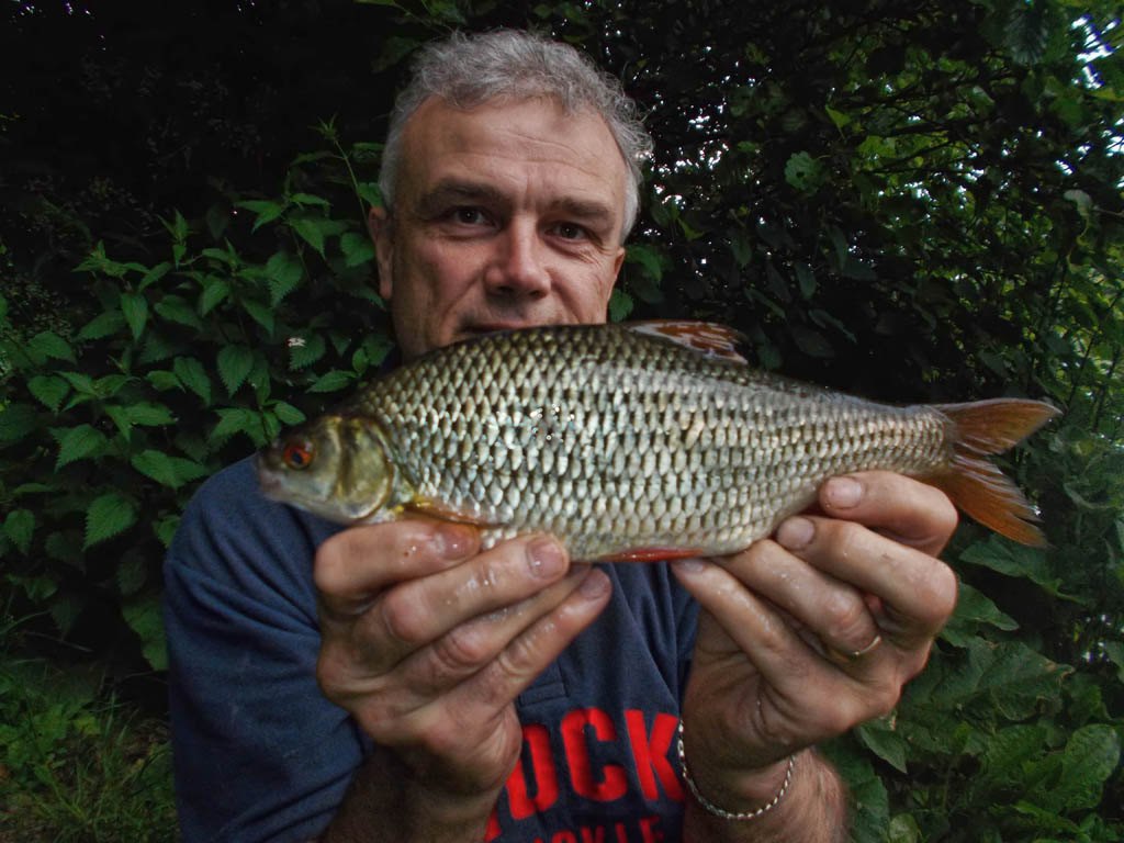 Another quality roach on the bank