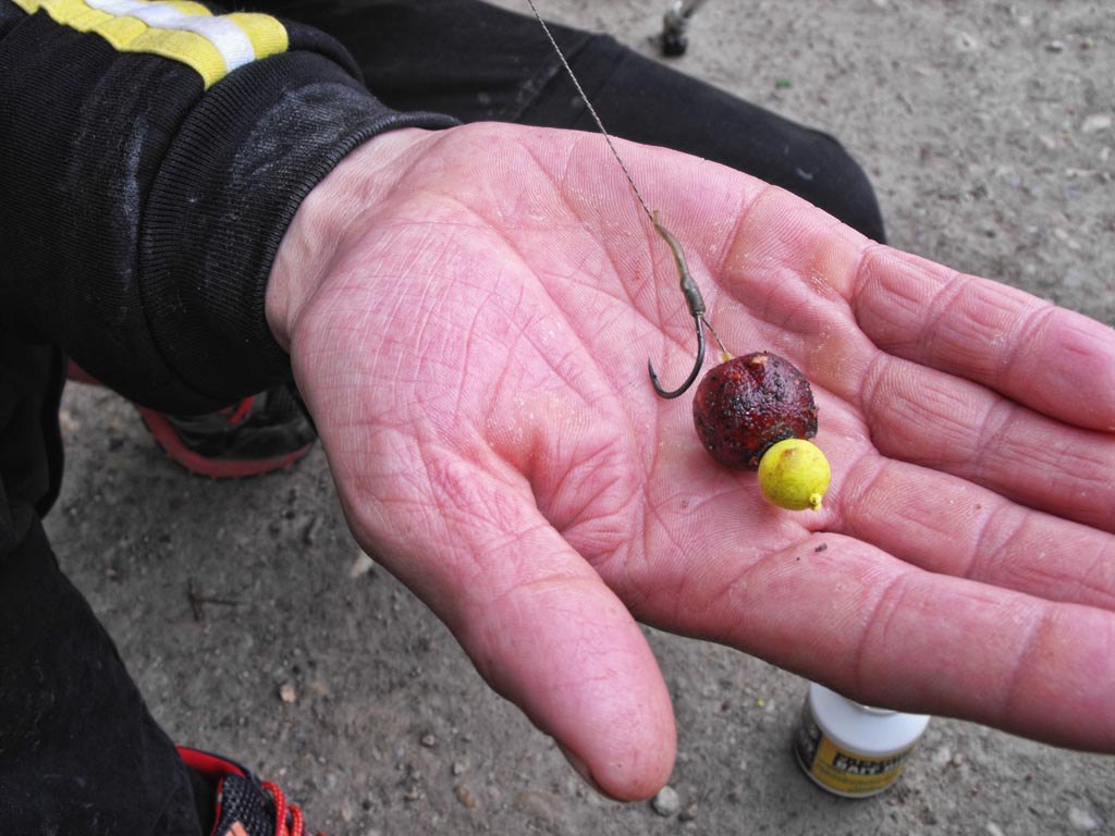 … rigs and hookbaits what we have used