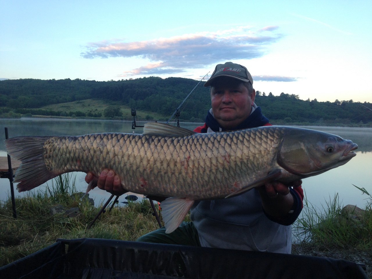 A versenyen fogott legnagyobb amur: 11,30 kg