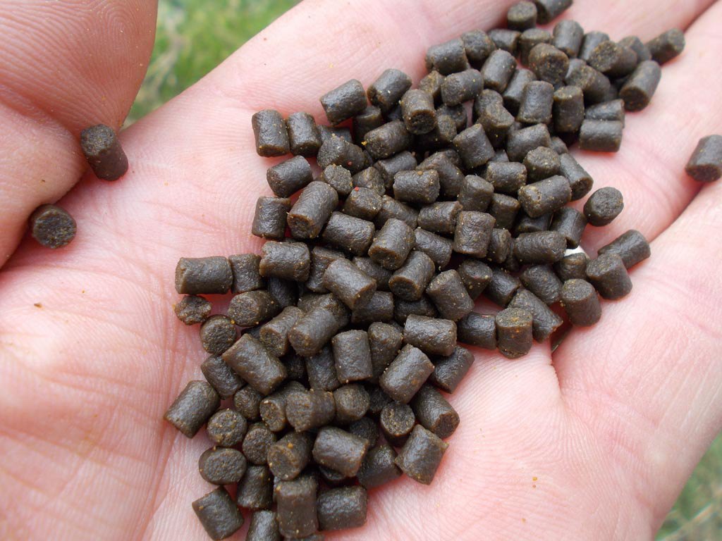 SBS pellets, perfect for roach