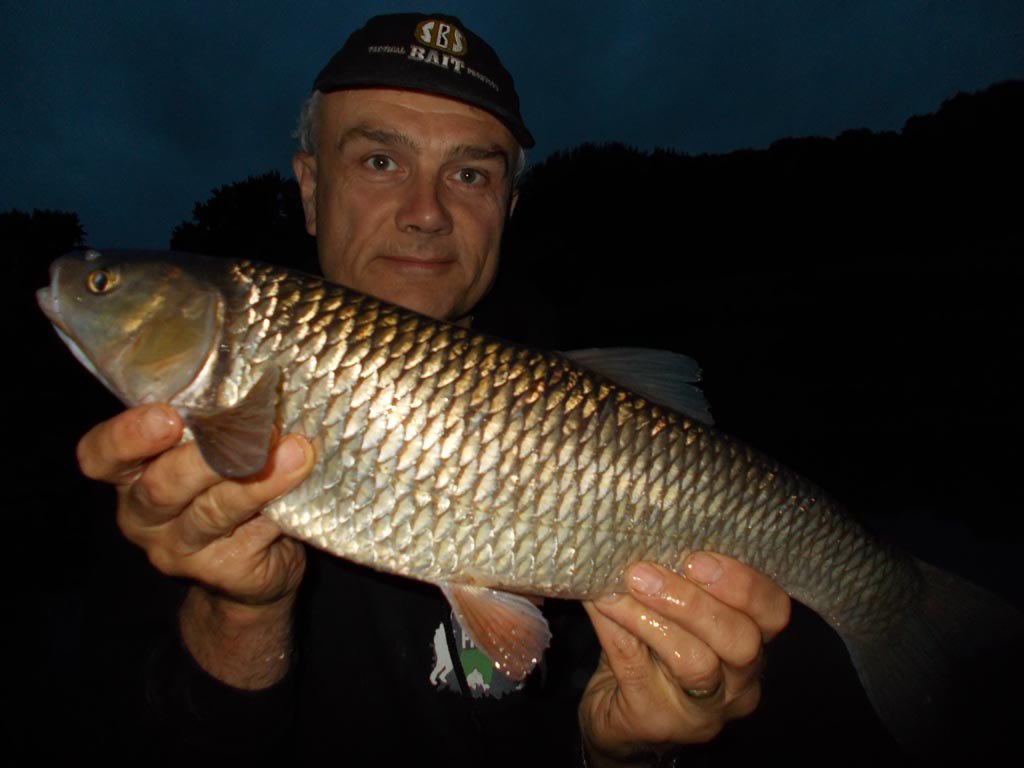 A chub caught while after barbel