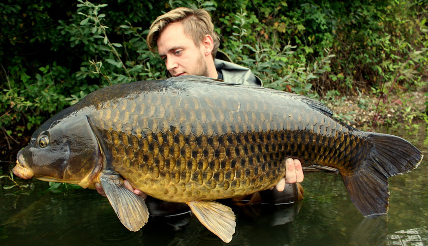 13,7KG Kampfkraft, mit eingebauter Sprinterflosse