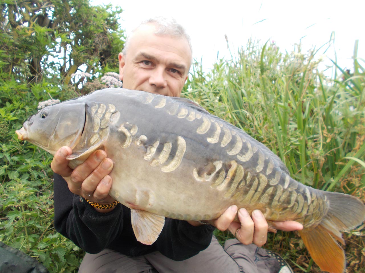 Another great looking fish tempted by SBS