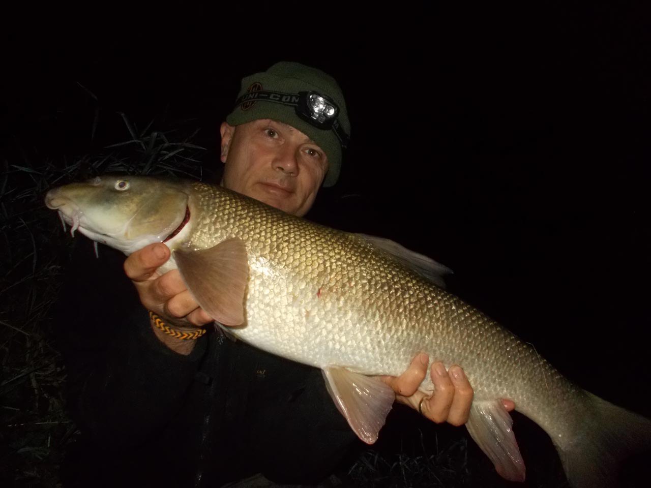 Barbel caught on Frankfurter Sausage boilie 