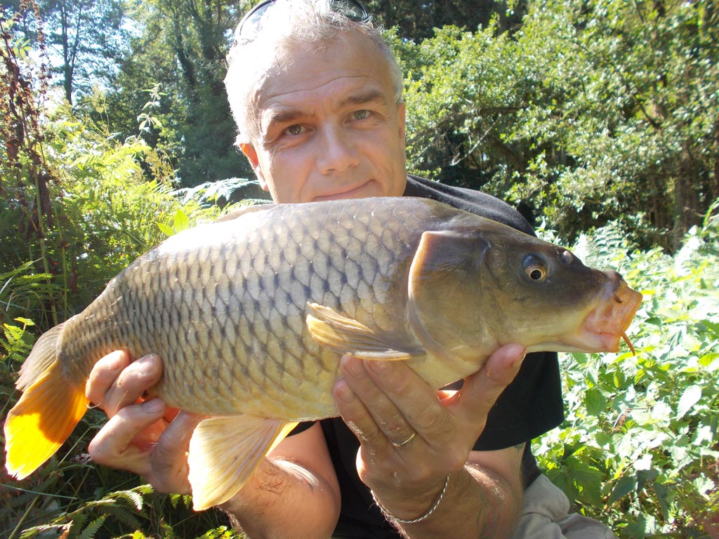 A daytime carp