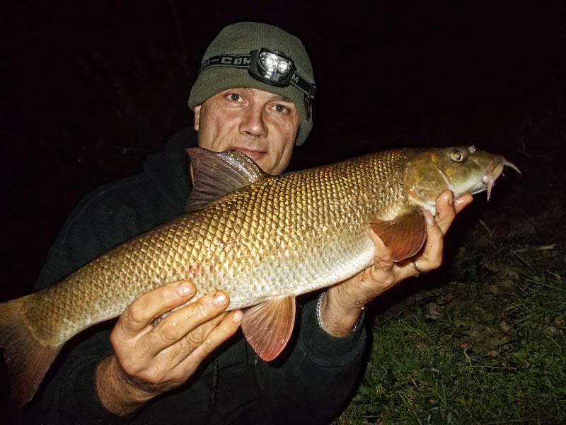 A barbel from the Severn on frankfurter sausage boilie