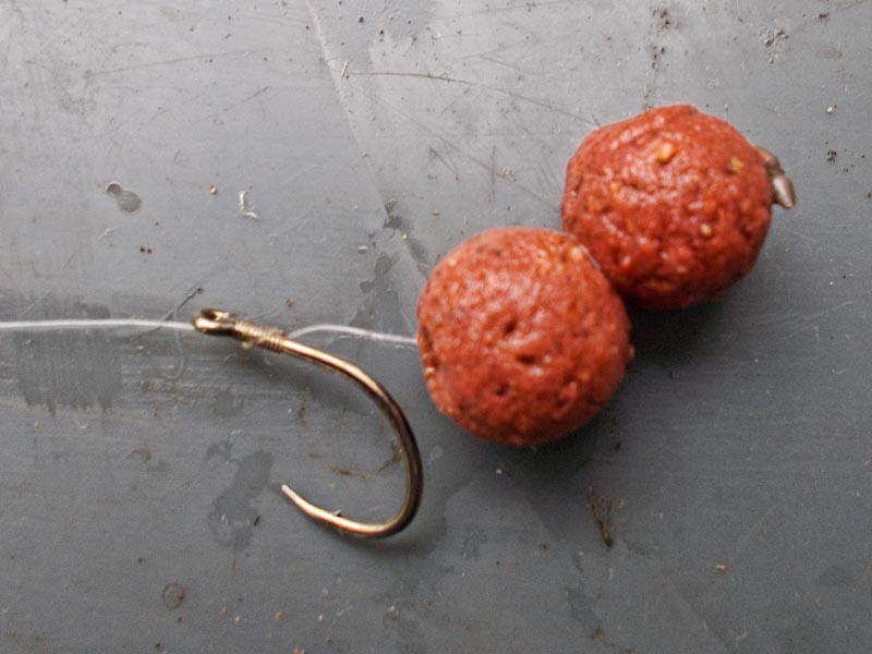 2 x 10mm M1 boilies hair-rigged for chub