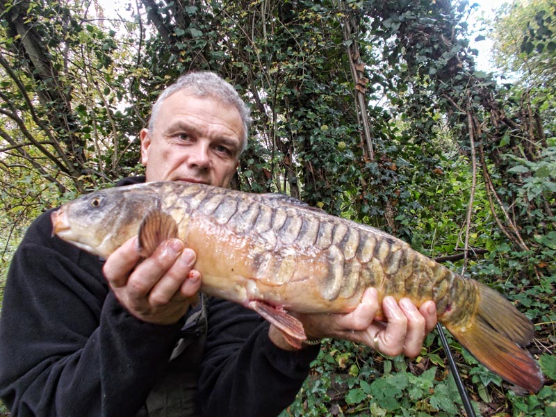 A bonus carp while after chub