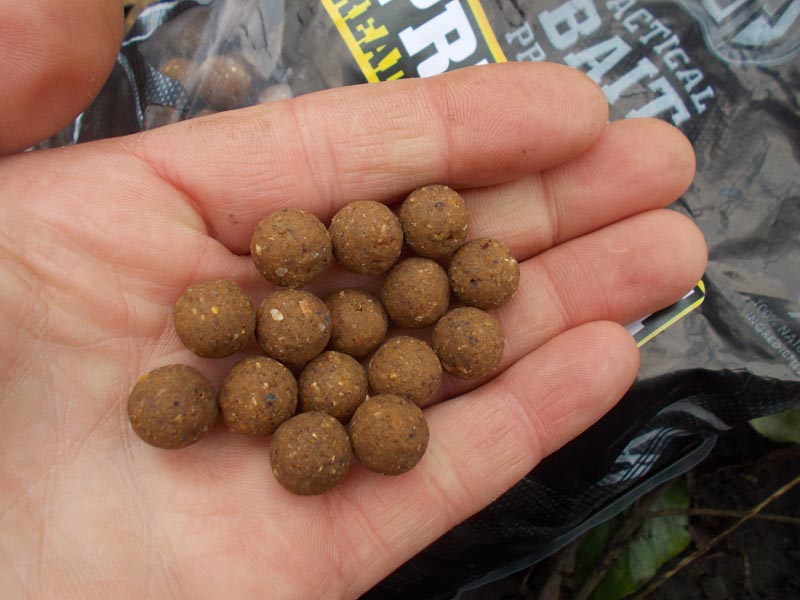 SBS Ace Lobworm boilies are among my favourites for chub