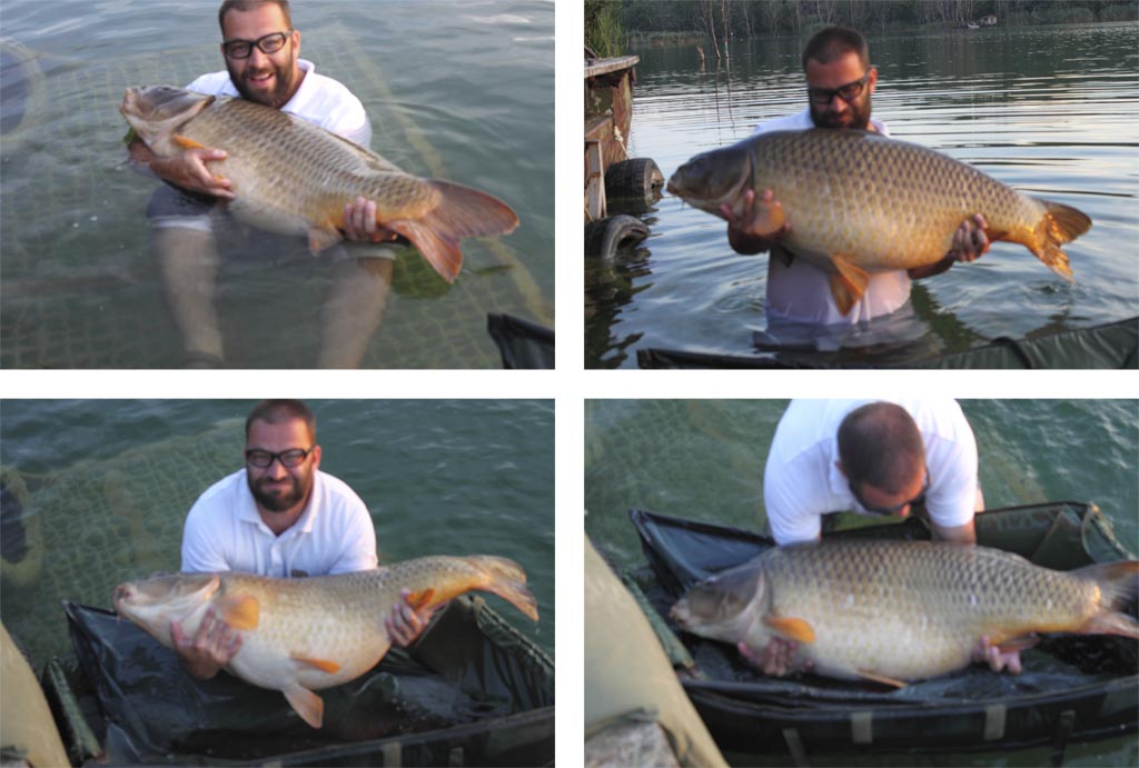 Daniel Novak – 30,00 kg (SBS Happy Carp Gang)