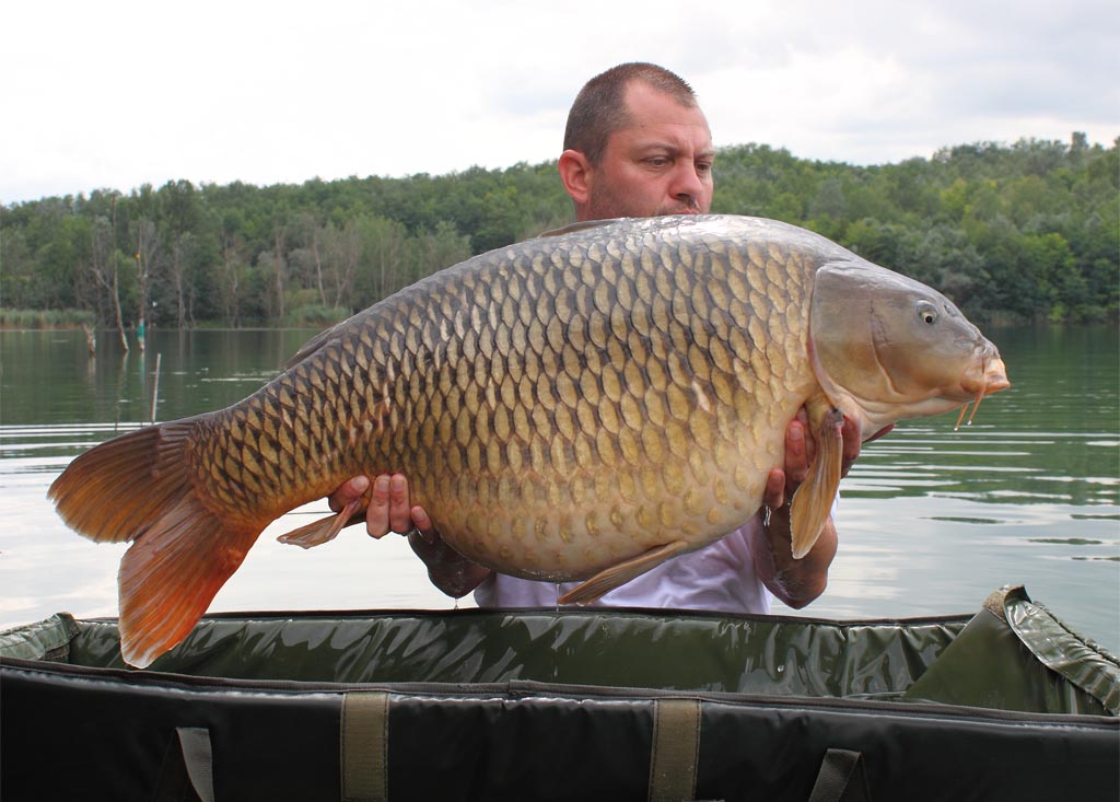 Bali Gábor (SBS Happy Carp Gang) – 25,10 kg