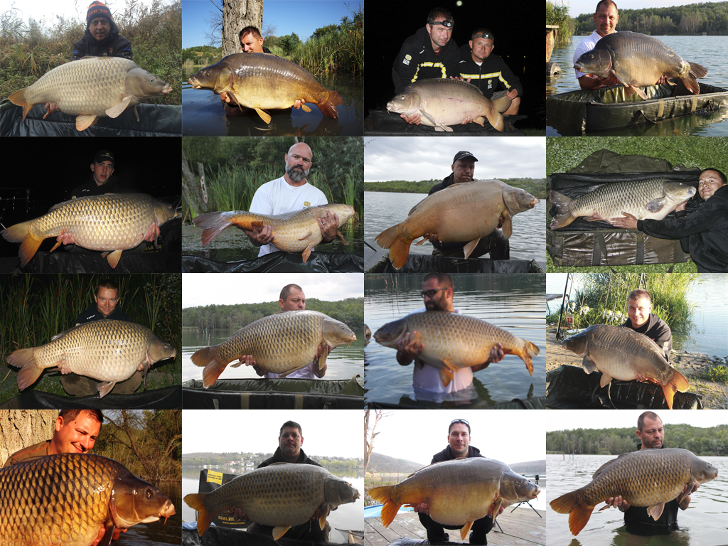 A gallery like this brings warm feelings to the heart of any carp angler