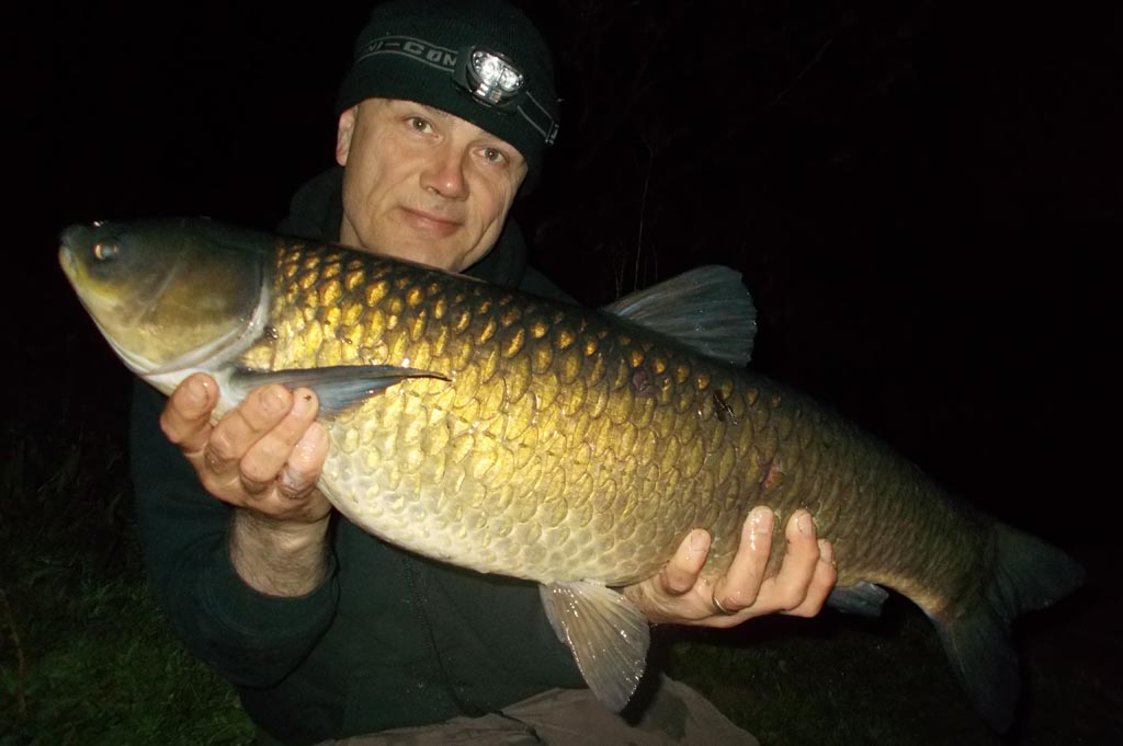 A grass carp prior to returning to its watery home