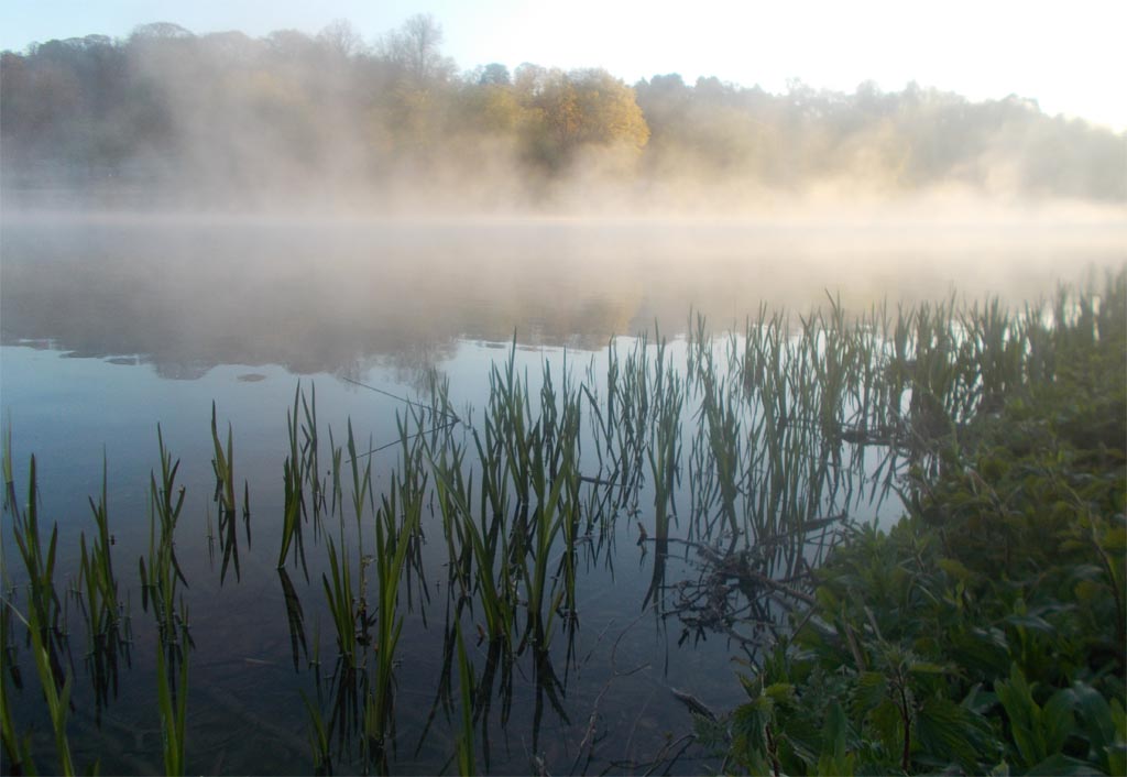 A misty start to a new day on the bank