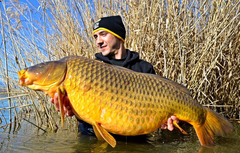 Csali: 24 mm-es M1 Wafters, a hal súlya: 19,90 kg