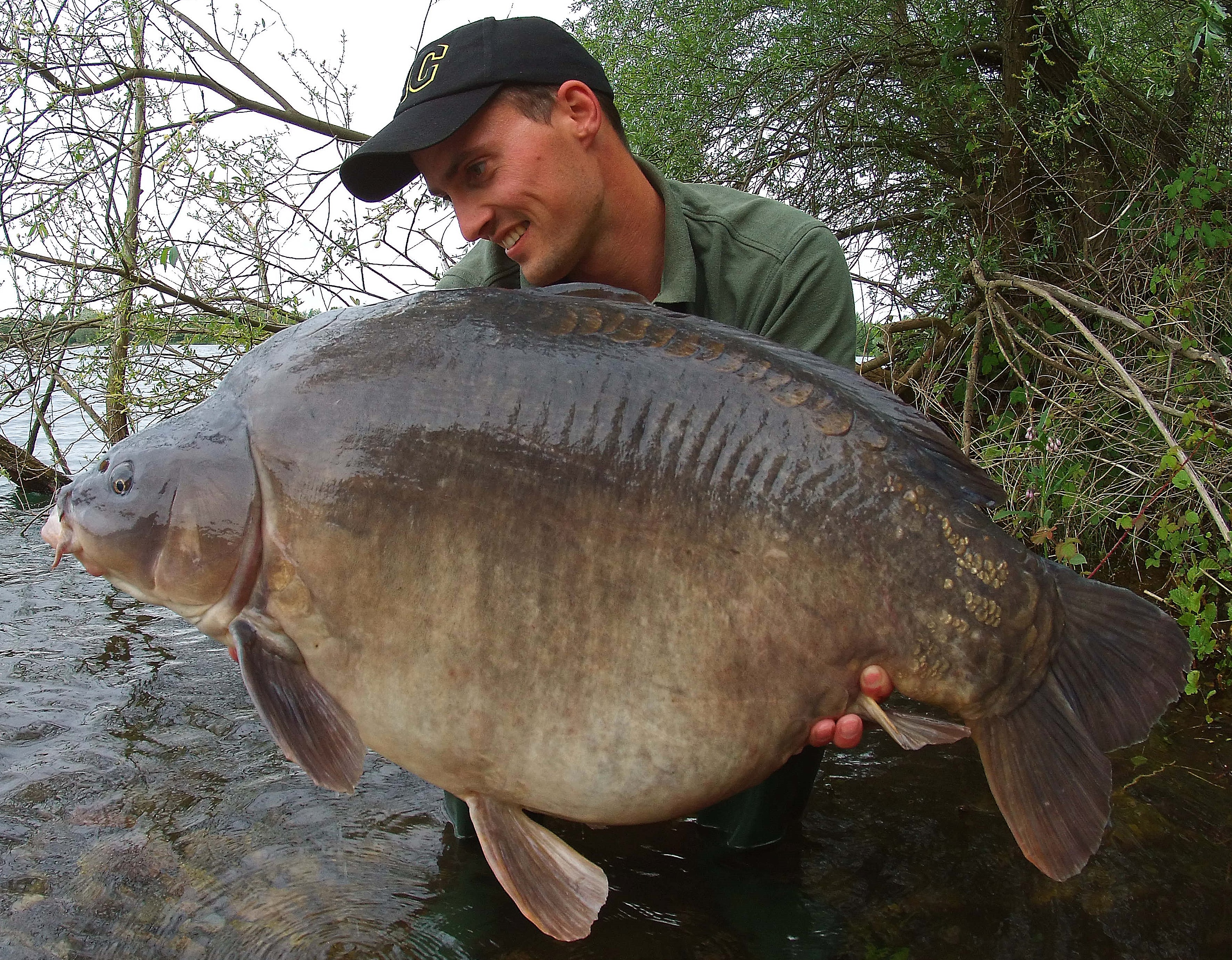 This special scaled mirror took a Hi Vis Fluro Pop Up