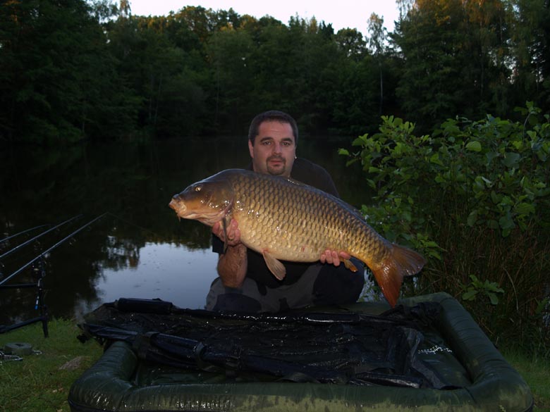 35lb Common