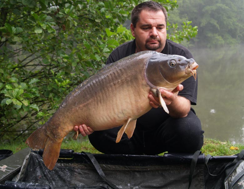 33lb mirror