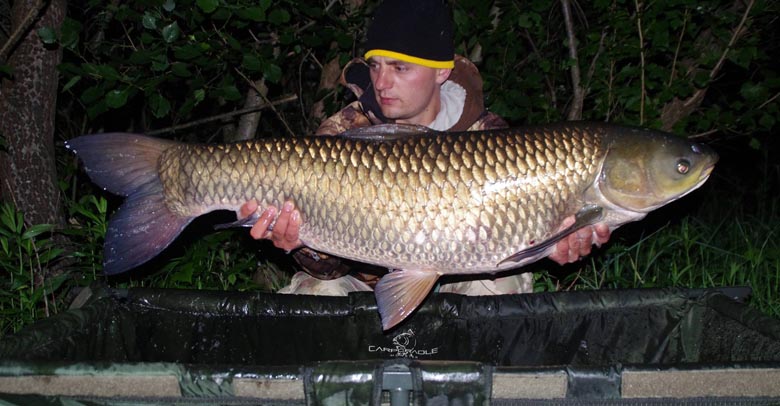 On the first night a gorgeous grass carp weighting 20 kilograms, could not resist the M2 aroma. The combination was a successful one, so I had confidence to continue in the same way.