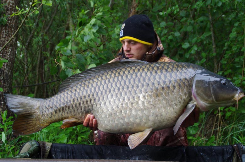 Szinte hihetetlen, de a második napon ezt a 28.5 kg-os pontyot tarthattam a kezemben