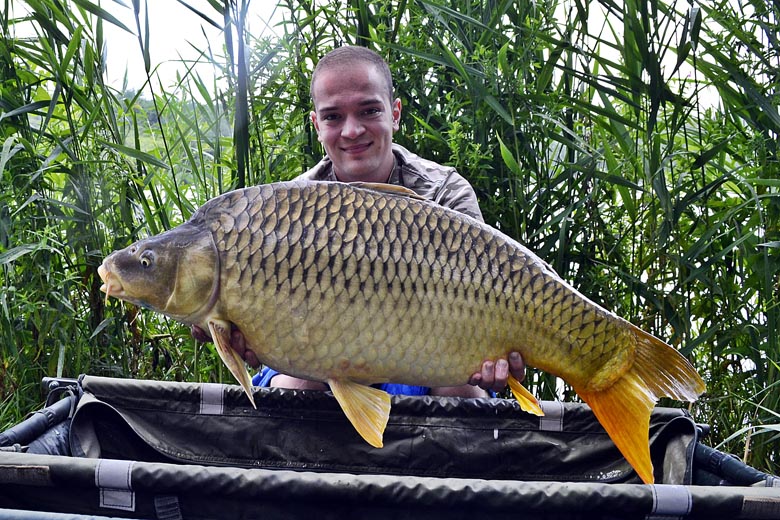 A második pontyom 11,50 kg-os, ...