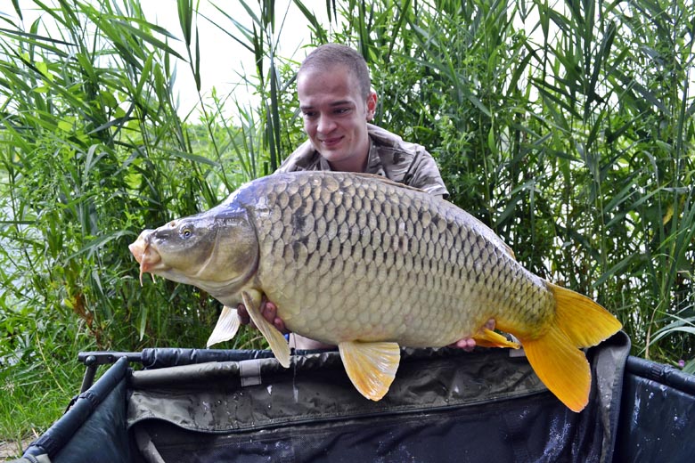 ... a harmadik pedig 11,23 kg-os, egészséges és erős tőponty volt