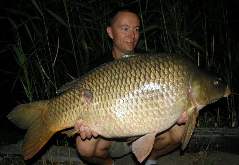 17 kg-os töves, a diós bojlit vette fel