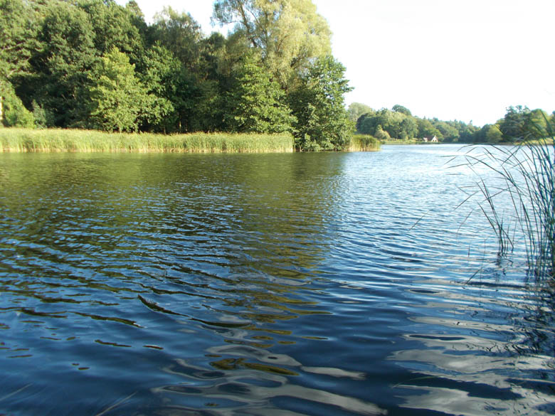 The Shropshire lake that has consumed my August