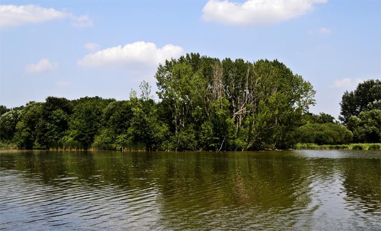 Gyönyörű környezetben foghattuk a halakat