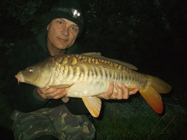 The first carp of the blog
