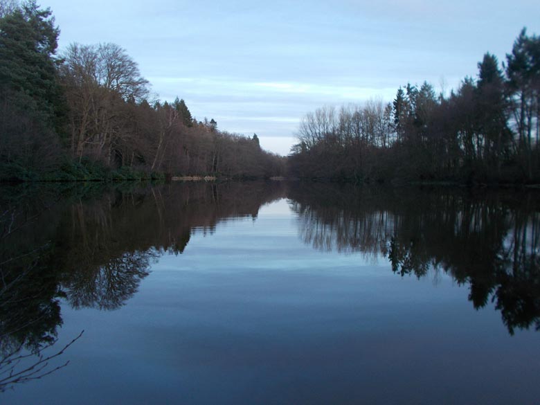 A great looking lake to target carp