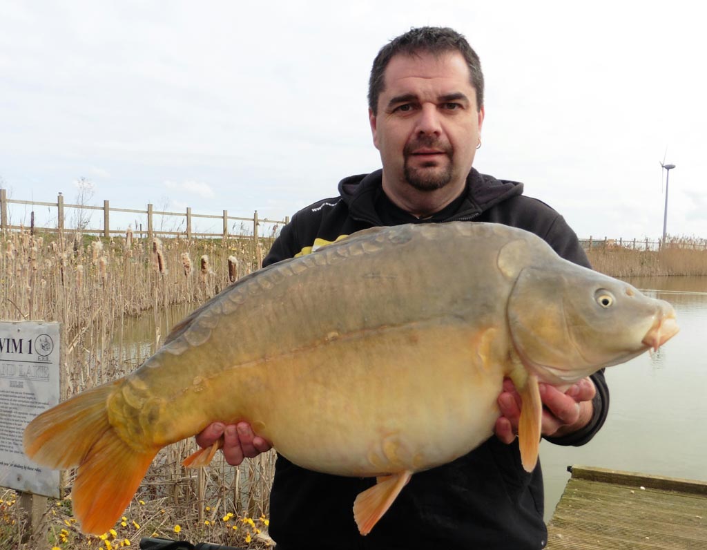 31lb 15oz