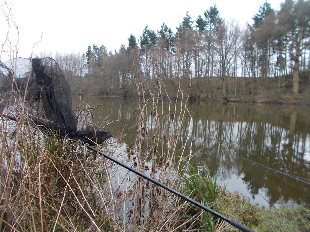 The rods are out and the net's ready and waiting