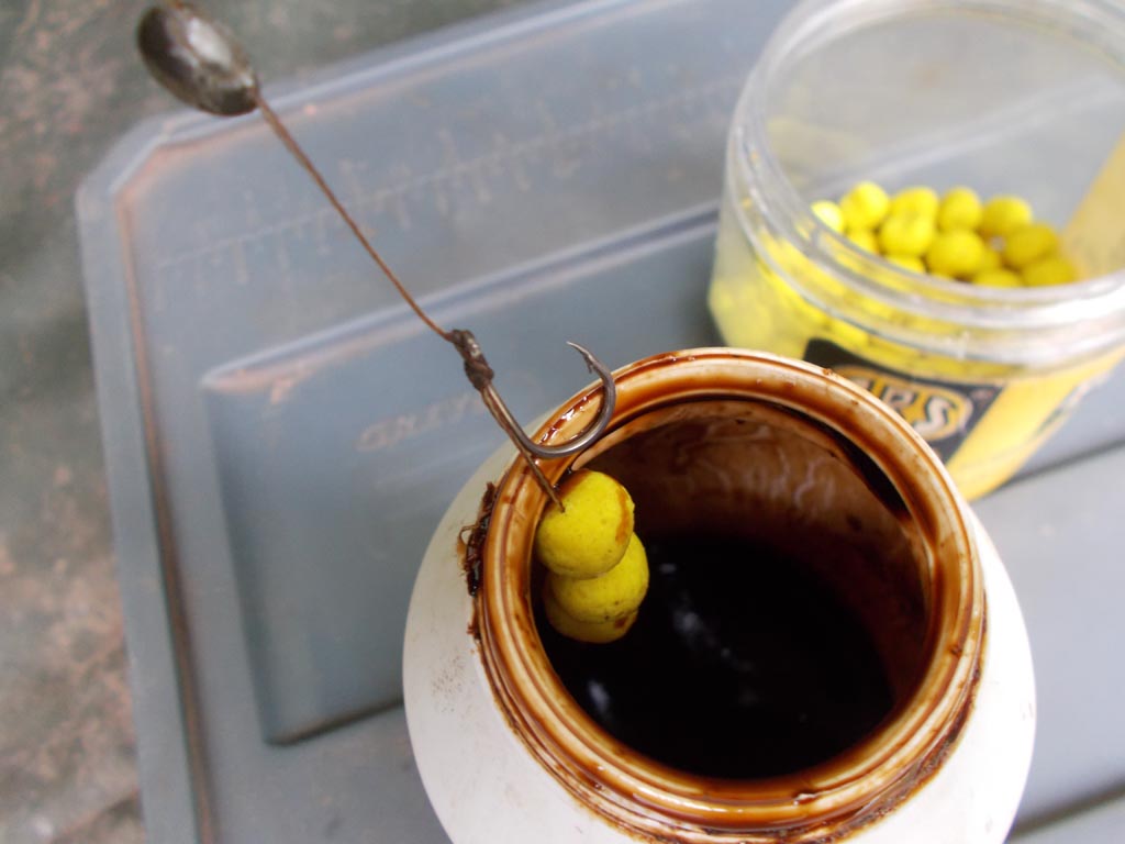 Corn-shaped boilies ready for dipping