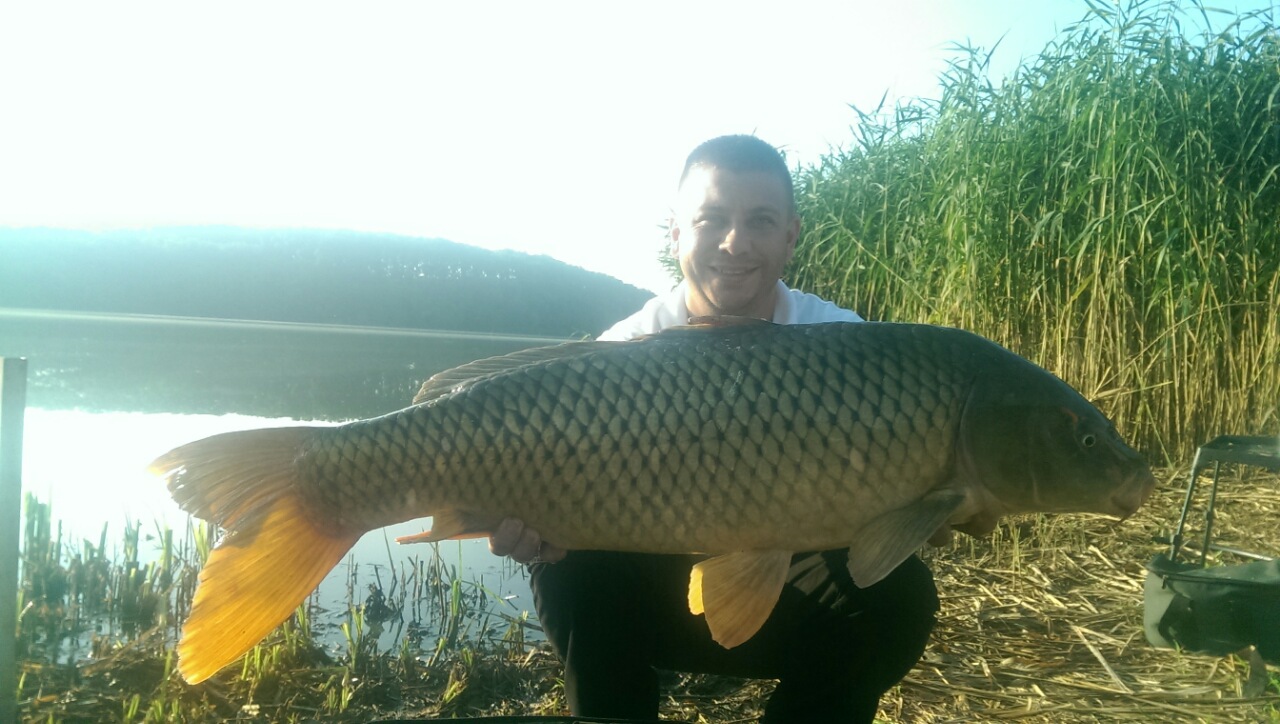 10 kg körüli desedai töves