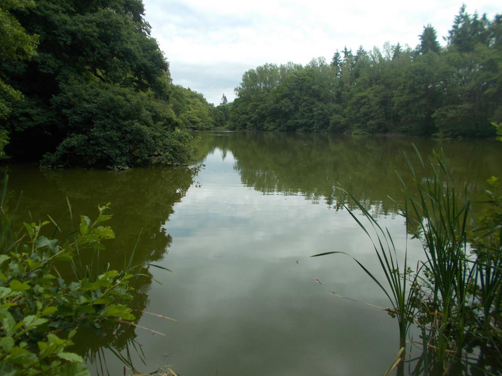 A great place to spend a summer's afternoon