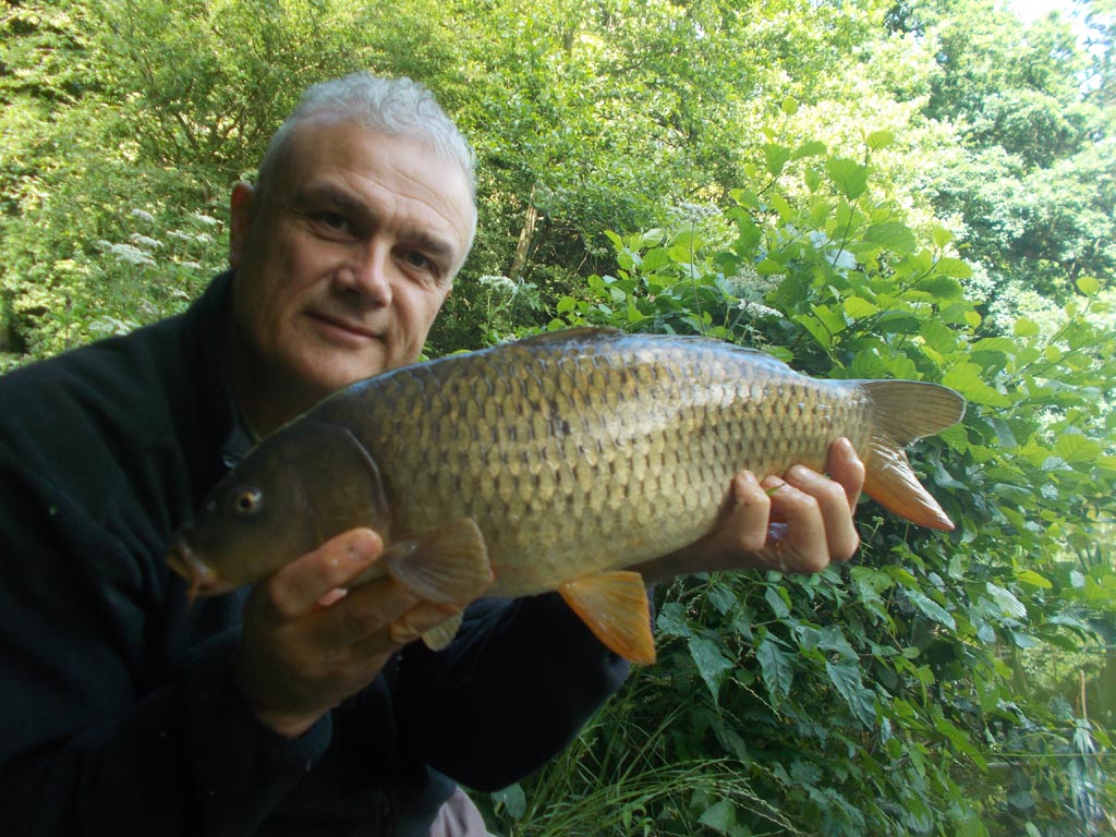 Fish number one, a small common