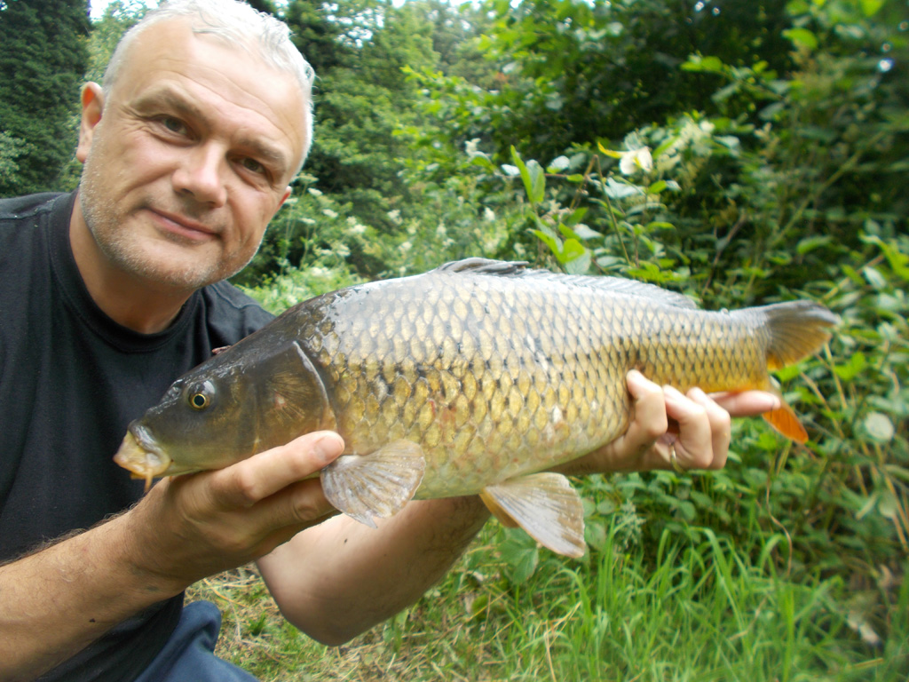 One of the carp I caught this time round