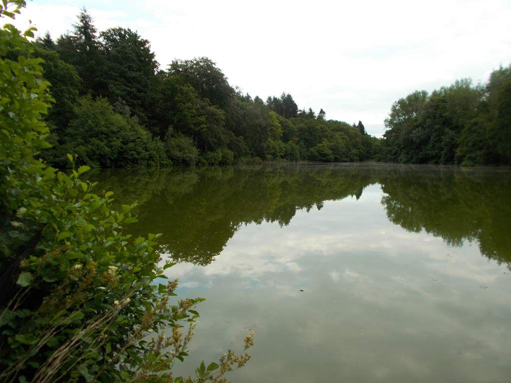 The lake I fished, one of my regular haunts