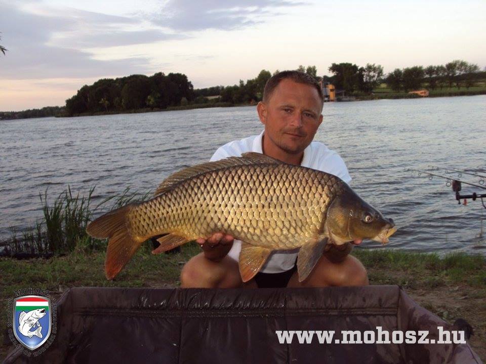 SBS Tizo Carp Team (Gaál Tibor)