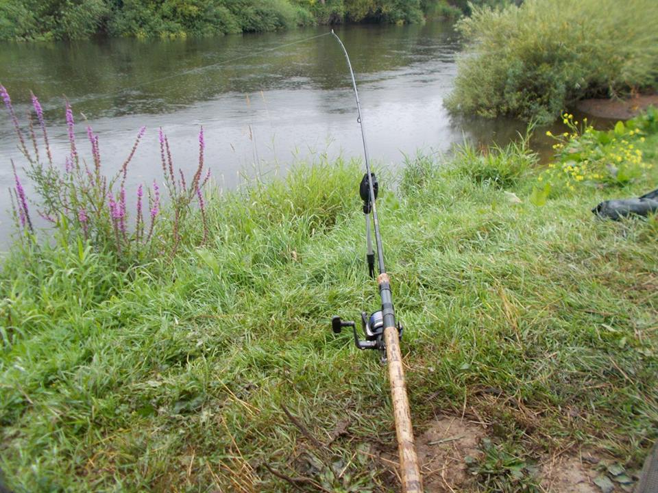 Rod out on the middle Severn