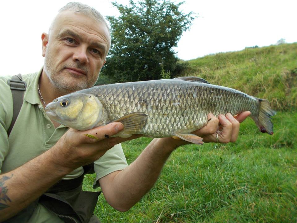 A nice chub on the Severn, SBS did the trick again