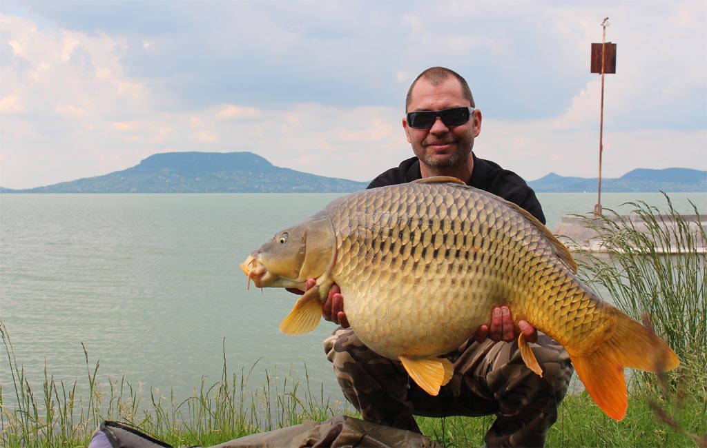 A gyönyörű, egészséges töves Gaben új balatoni rekordja 15,06 kg!